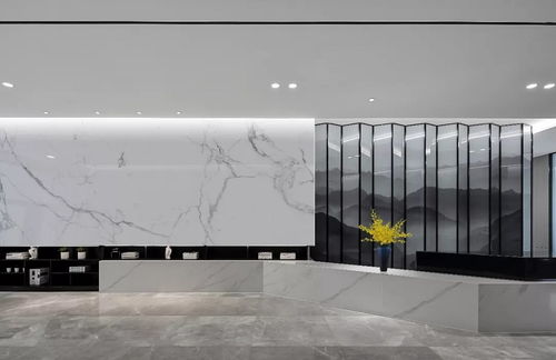 石材裝飾欣賞 香港萬隆控股office center